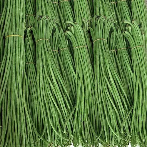 1720404324395669.png 豇豆.png