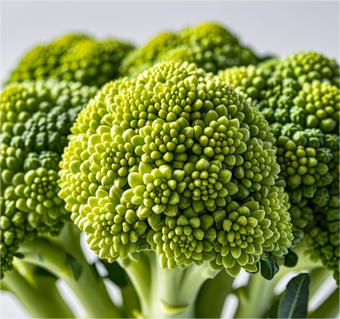 1723096776506439.png 西蘭花.png